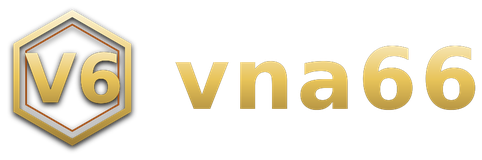vna66 logo